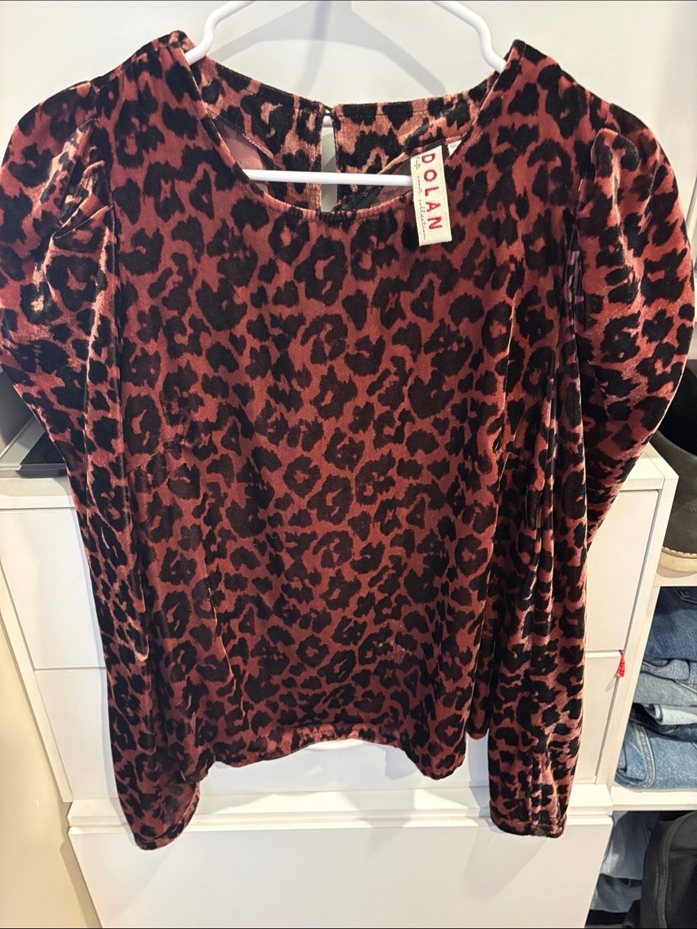 dolan Leopard-Print Velvet Crewneck Top in Rust and Black